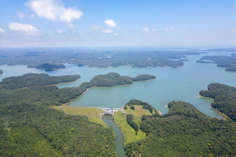 Emae e Secretaria do Verde e do Meio Ambiente de São Paulo promovem mutirão de limpeza na Represa Billings, na Ilha do Bororé