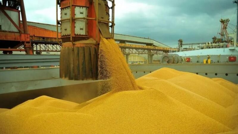 Exportações em risco com a guerra: auditores atuam para evitar o "encalhe" de 22% do milho brasileiro