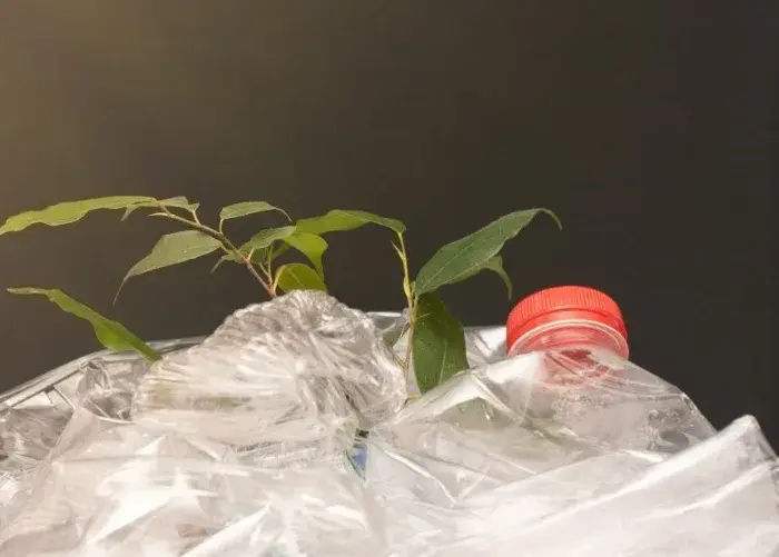 Fomento Recebe Atendimento Especial em Debate de Crédito em Brasília Fomento Recebe Atendimento Especial em Debate de Crédito em Brasília