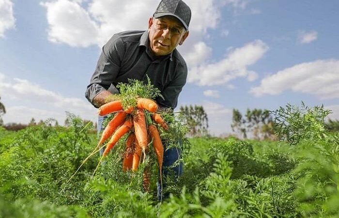 Governo Autoriza Pagamento do Programa Garantia Safra
