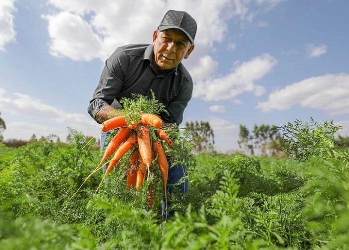 Governo Autoriza Pagamento do Programa Garantia Safra