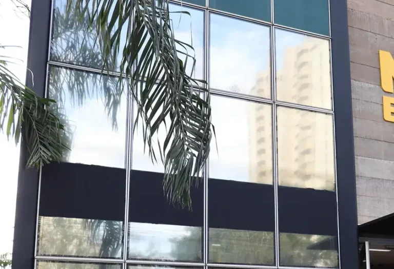Microfranquia figura entre as maiores empresas do pais