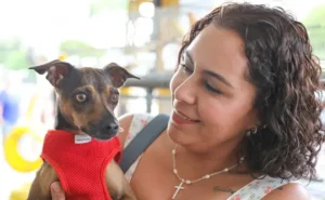 Novas Clinicas Podem Se Credenciar Para O Castra DF