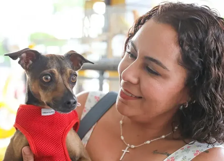 Novas Clinicas Podem Se Credenciar Para O Castra DF Novas Clinicas Podem Se Credenciar Para O Castra DF