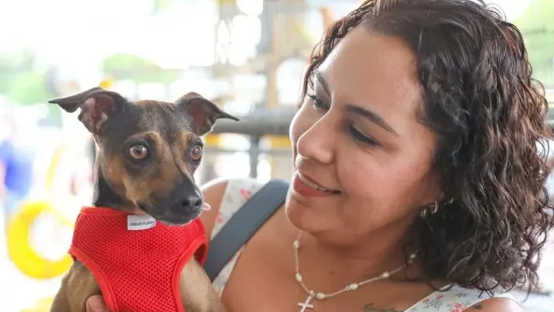 Novas Clinicas Podem Se Credenciar Para O Castra DF