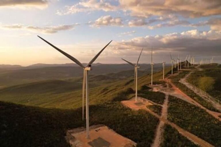 Projeto na Bahia recebe certificação para comercializar créditos de carbono