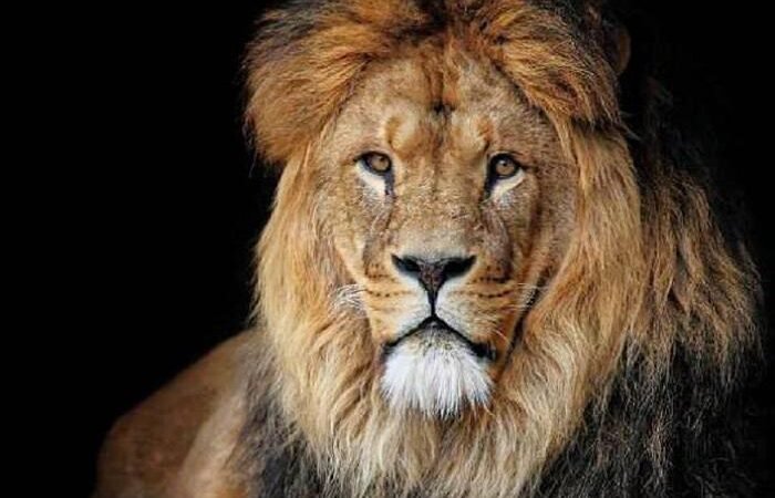 Receita paga o lote da malha fina de marco