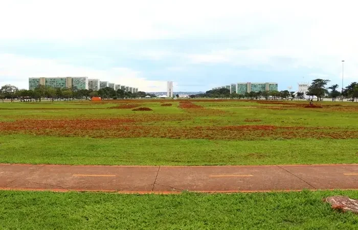 Recuperacao do gramado da Esplanada vai custar R 1,5 milhao