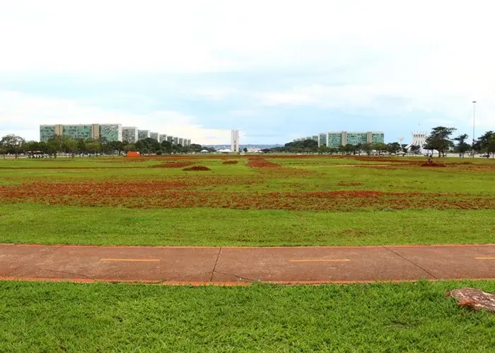 Recuperacao do gramado da Esplanada vai custar R 1,5 milhao