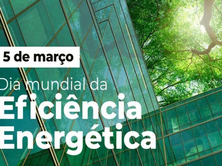 Redes inteligentes e armazenamento são chave para evitar desperdício de energia