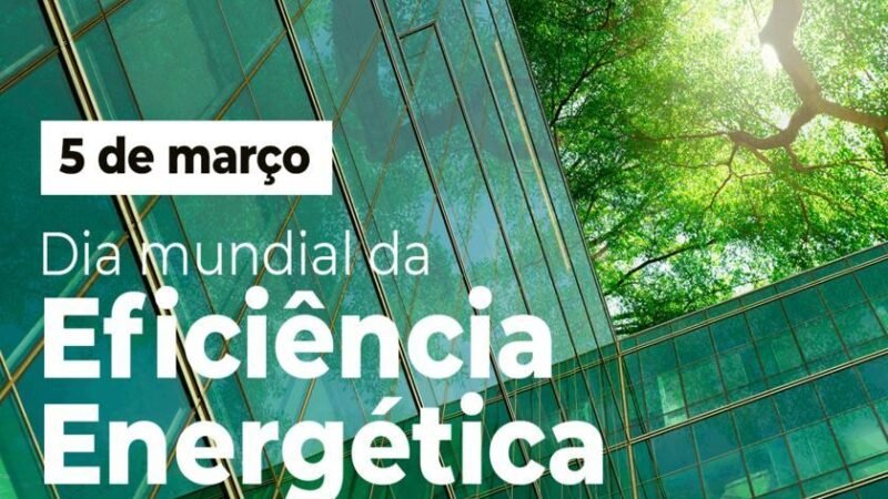 Redes inteligentes e armazenamento são chave para evitar desperdício de energia