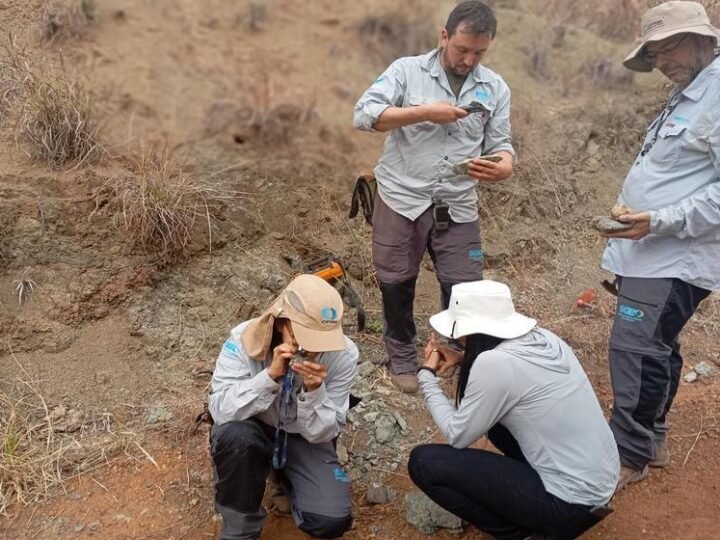 SGB intensifica trabalhos para avaliação de Terras Raras na Província Ígnea do Alto Paranaíba (MG)