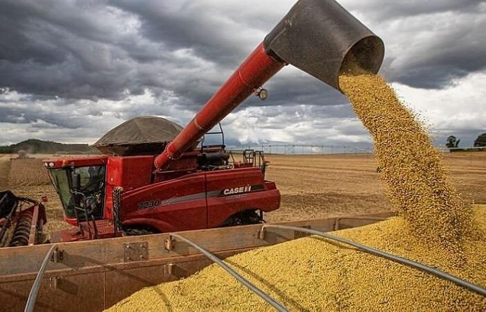 Safra de soja deve bater recorde enquanto safra de cereais deve recuar