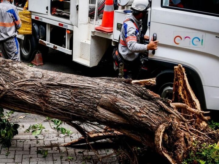Cassação da Enel não assusta investidores