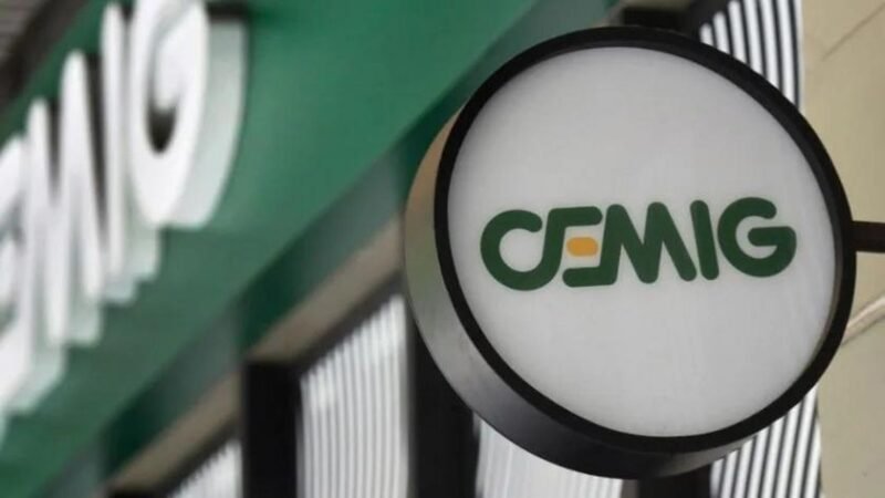Cemig: Futuro e Privatização sob Análise