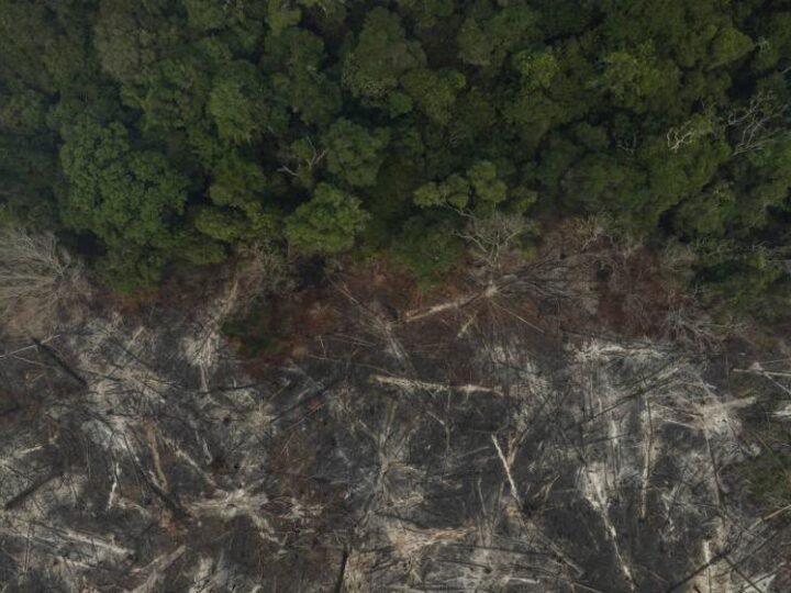 Empresas brasileiras intensificam redução de emissões de carbono Empresas brasileiras intensificam redução de emissões de carbono