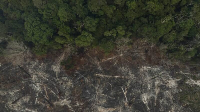 Empresas brasileiras intensificam redução de emissões de carbono