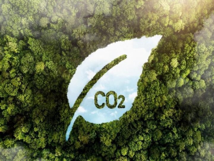 Evolução Energética: Descarbonização Segura Evolução Energética: Descarbonização Segura