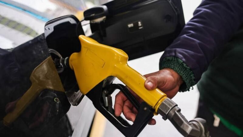 Investimentos da Potencial saltam para R$ 6 bi até 2030