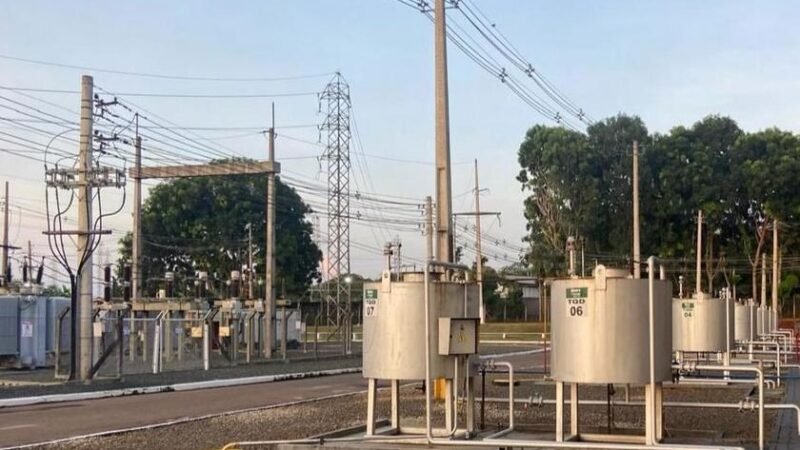 Leilão de usinas termelétricas a óleo e biodiesel