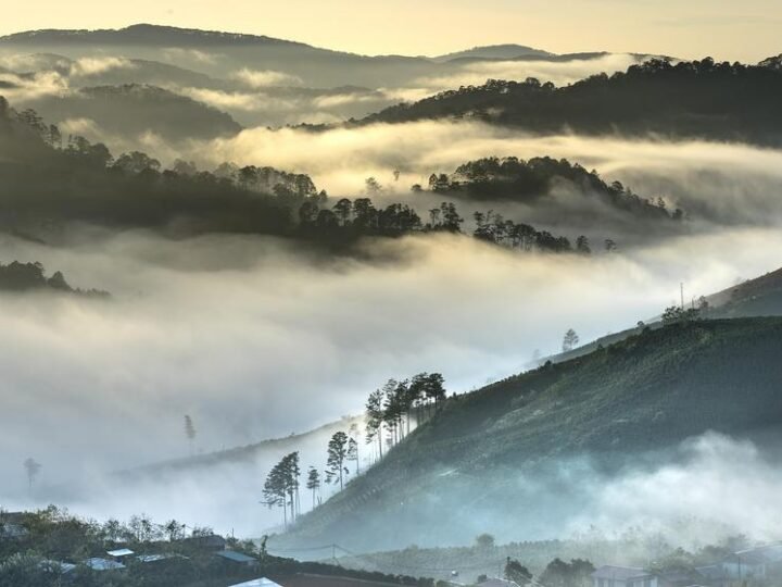 Mortes por poluição de carvão podem chegar a 1.300 até 2040