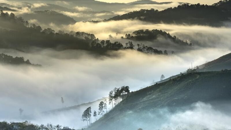 Mortes por poluição de carvão podem chegar a 1.300 até 2040
