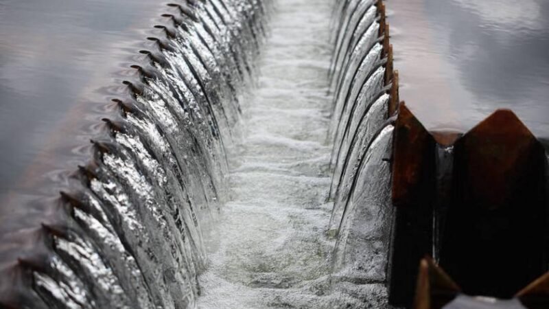 Reforma Tarifária Urgente para Contas de Água e Luz