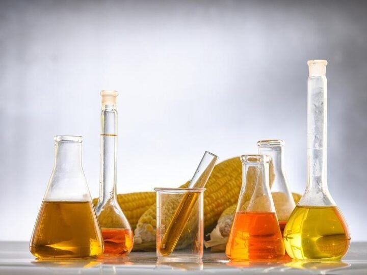 8° Fórum Sul Brasileiro de Biogás e Biometano debate momento histórico de progresso para o setor