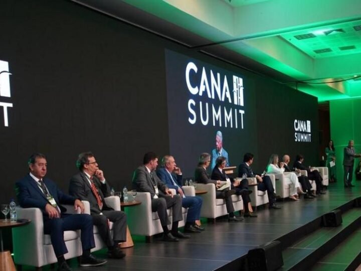 Cana Summit começa nesta quarta, 15, com debates sobre mercado, energia e futuro da produção de cana