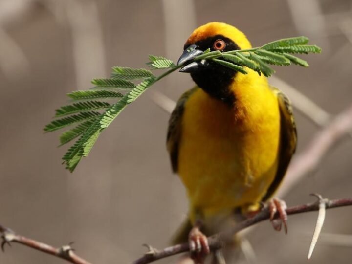 Conta de luz pressiona o orçamento: reajustes impactam brasileiros até junho
