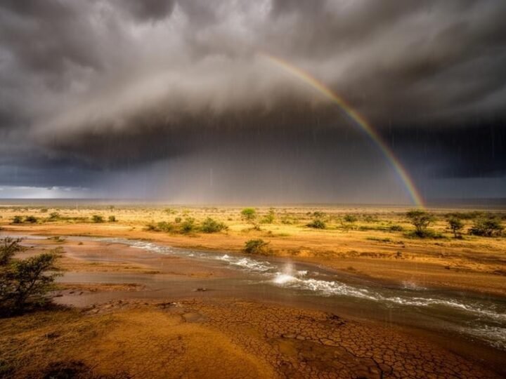 El Niño em 2026: Impacto e Novas Dinâmicas de Preços da Energia no Brasil