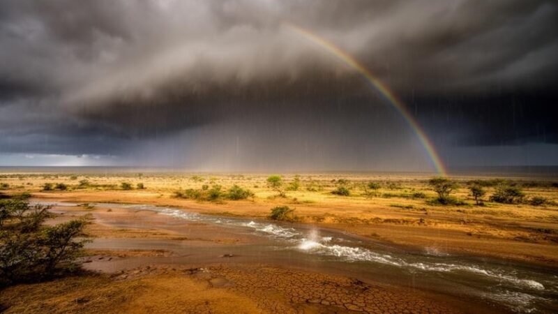 El Niño em 2026: Impacto e Novas Dinâmicas de Preços da Energia no Brasil