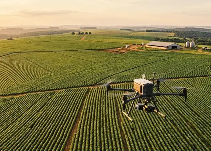 Executiva assume presidencia de entidade de empresas de pesquisa