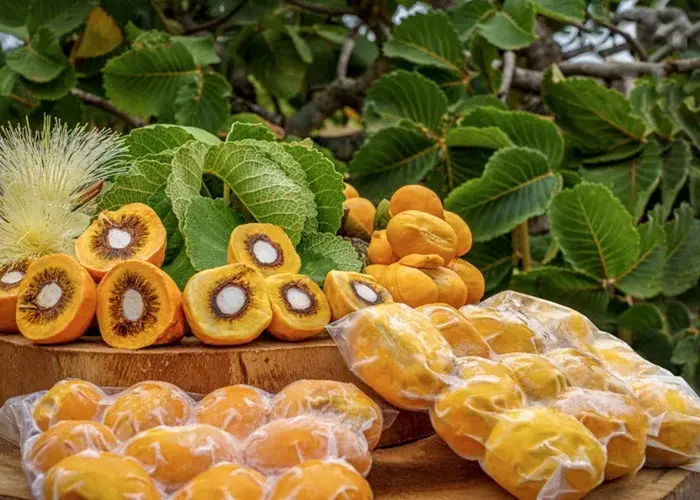 Feira Brasil desembarca na Embrapa Cerrados