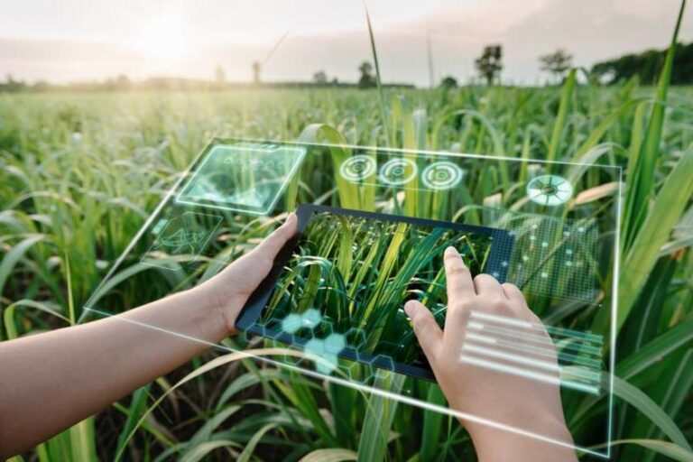 Hitachi Energy apresenta o EcoSpace, sua nova plataforma digital de sustentabilidade