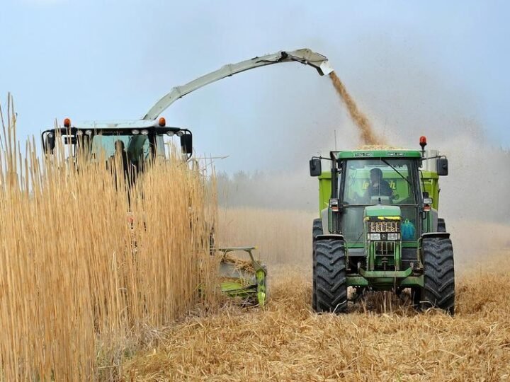 Lula defende biocombustíveis na Alemanha e rebate mitos sobre segurança alimentar