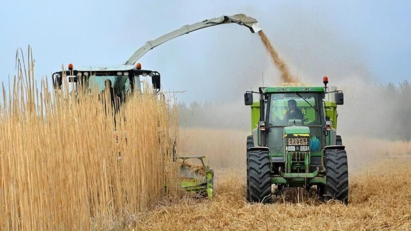 Lula defende biocombustíveis na Alemanha e rebate mitos sobre segurança alimentar