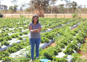Múltiplas Carreiras, Uma Realidade Possível