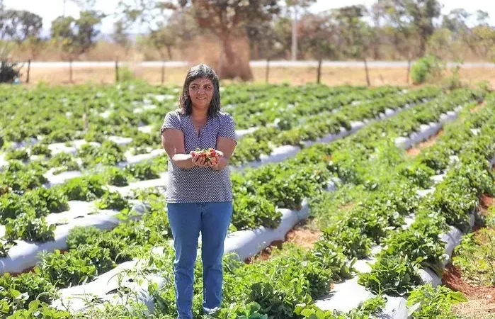Múltiplas Carreiras, Uma Realidade Possível