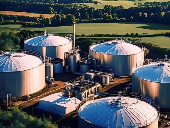 O Brasil pode transformar sua rota de descarbonização em vantagem competitiva global O Brasil pode transformar sua rota de descarbonização em vantagem competitiva global