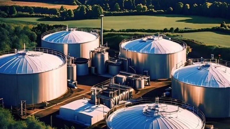 O Brasil pode transformar sua rota de descarbonização em vantagem competitiva global