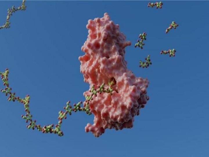 Pesquisa do CNPEM revela mecanismo de enzimas com potencial de revolucionar área de biocombustíveis