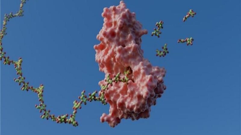 Pesquisa do CNPEM revela mecanismo de enzimas com potencial de revolucionar área de biocombustíveis