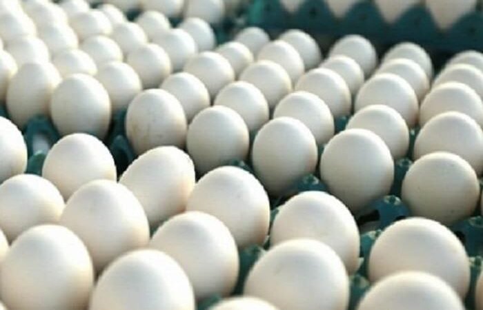 Preços de ovos legumes e feijão disparam nos mercados