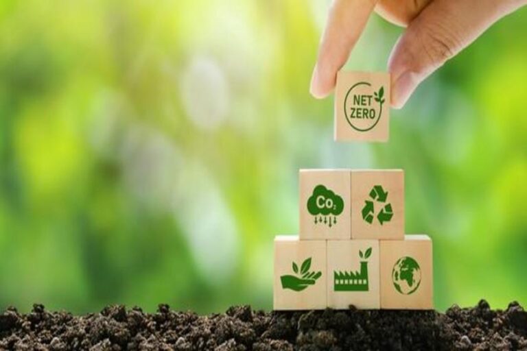 Relatório elaborado por ICC Brasil e WayCarbon apresenta sugestões estratégicas para o mercado regulado de carbono no país