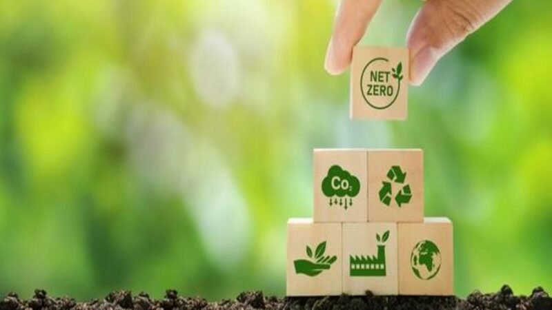 Relatório elaborado por ICC Brasil e WayCarbon apresenta sugestões estratégicas para o mercado regulado de carbono no país