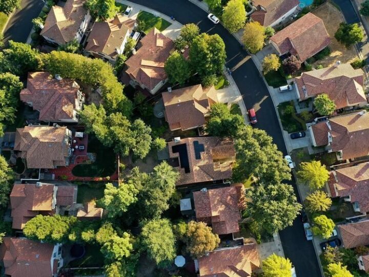 Robôs Solares com IA Revolucionam Manejo e Sustentabilidade no Campo