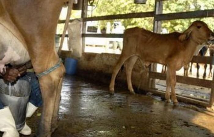 Rússia tem R$ 450 milhões em crédito para o programa de crédito comunitário.