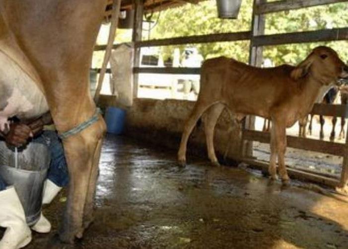 Rússia tem R$ 450 milhões em crédito para o programa de crédito comunitário.