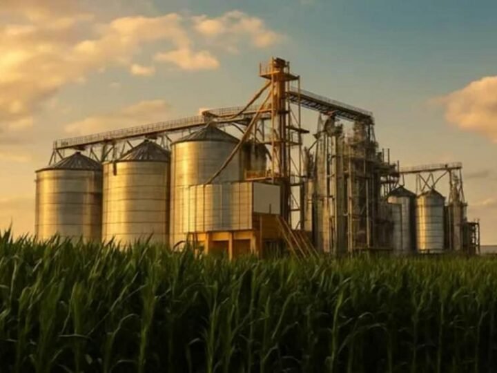 Vibra e Comerc destacam no DATAGRO soluções integradas que conectam o agro à indústria Vibra e Comerc destacam no DATAGRO soluções integradas que conectam o agro à indústria